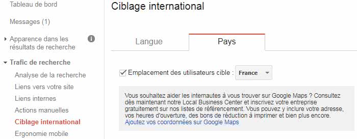 ciblage-international-search-console