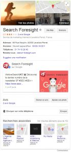 Google my business search foresight