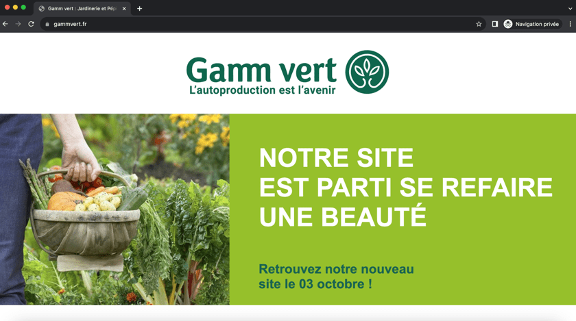 Maintenance site web gamm vert