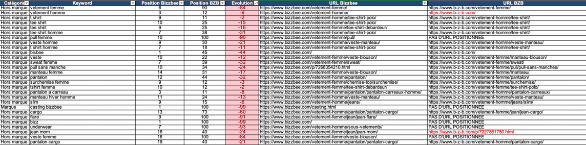 Positions SEO BZB