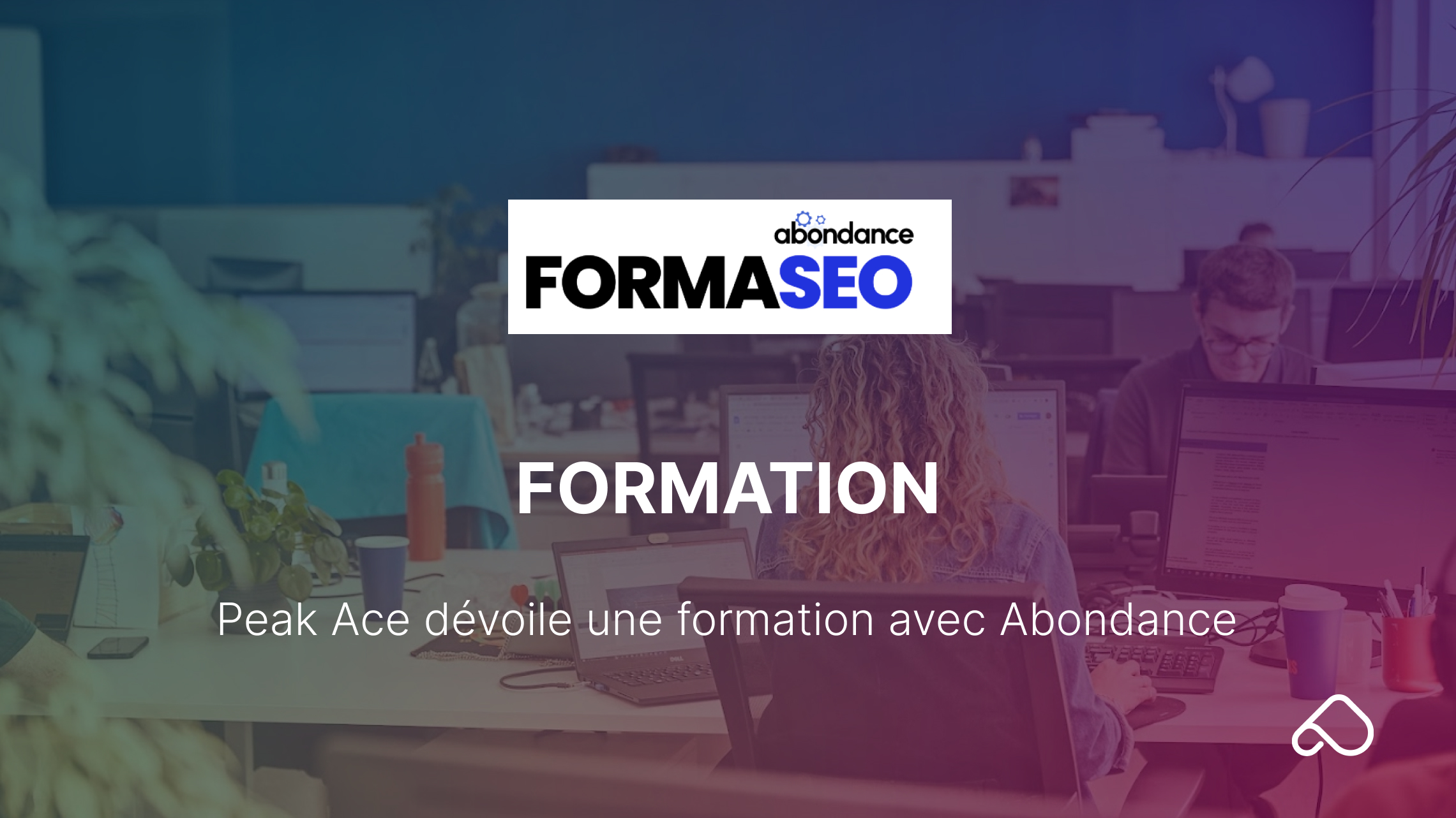 Formation SEO E-commerce Peak Ace