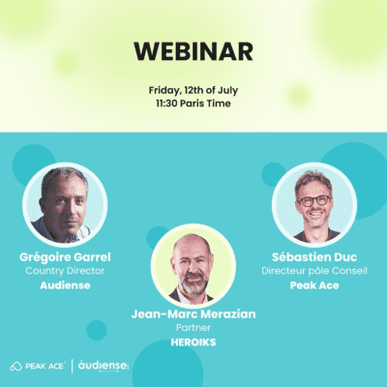 Webinar Peak Ace - Data Profiling
